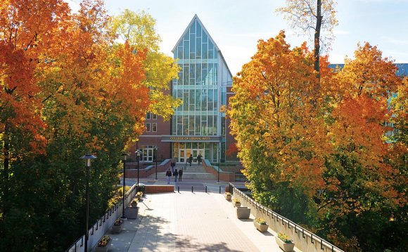 Clinical Psychology Internships for Undergraduate