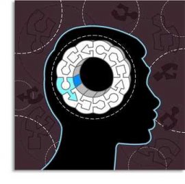 Fields Within Psychology Fields Within Psychology