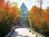 Clinical Psychology Internships for Undergraduate