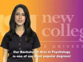 Psychology Certificate Programs Online