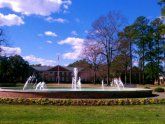 Top Schools for Forensic Psychology
